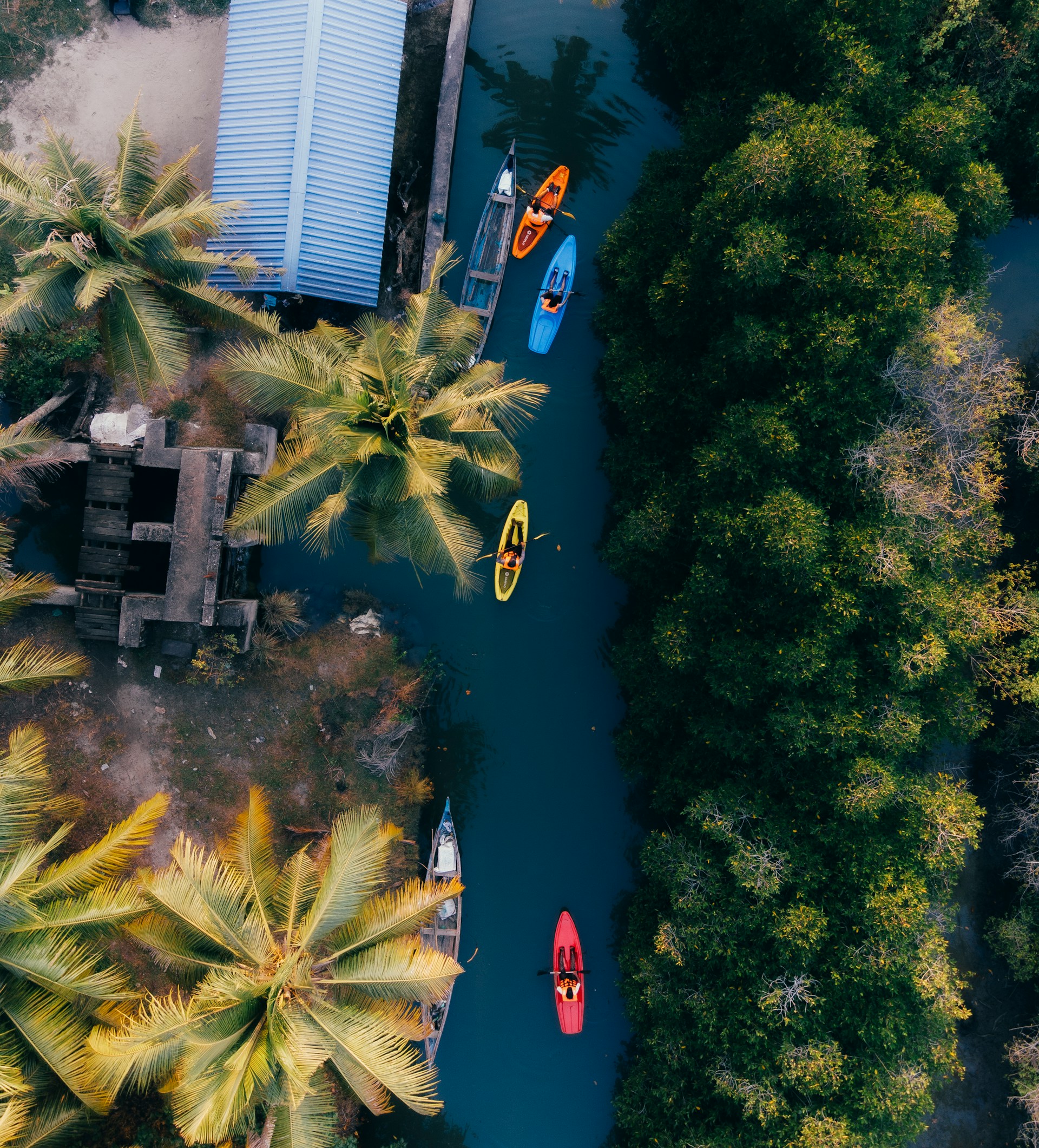 anantha-krishnan-YAnSiCaH0sk-unsplash