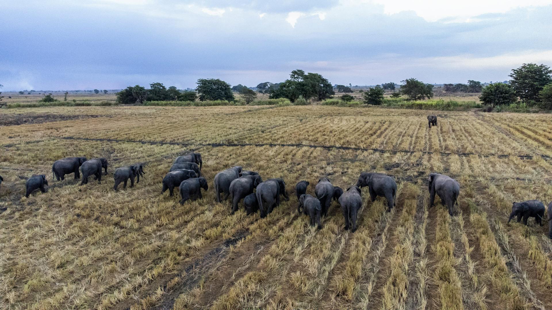 pexels-charithk-28426004