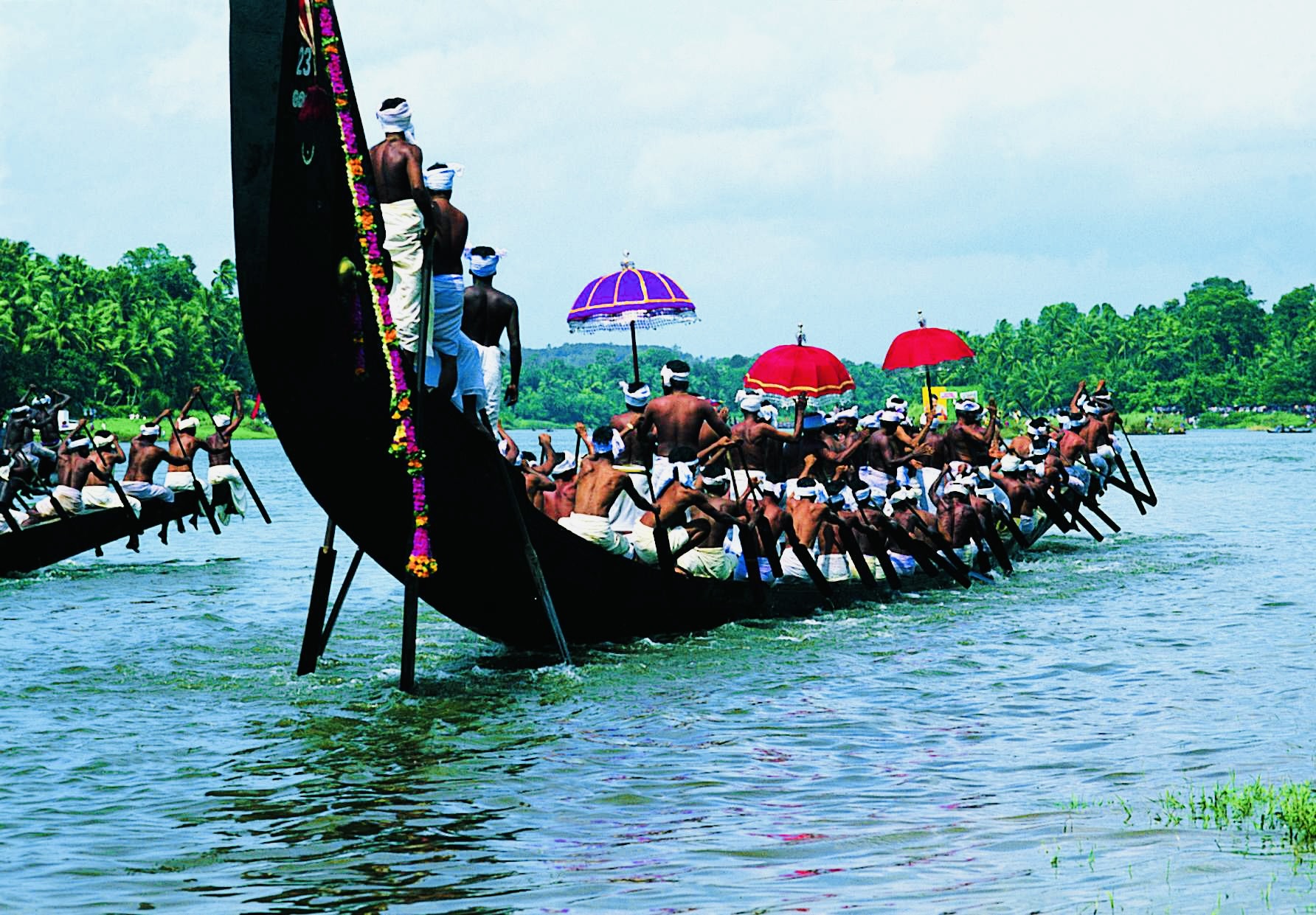 snake boat race